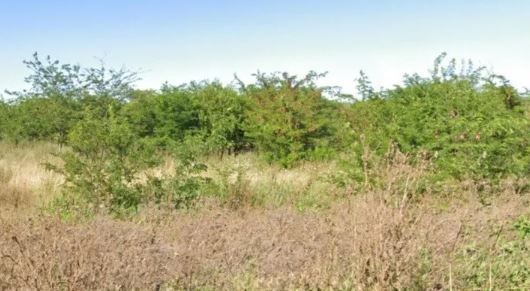 Hallaron un cadáver momificado en un descampado: habría muerto hace más de un año