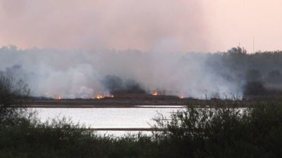 La Cámara Federal de Paraná revocó el sobreseimiento de 43 imputados por las quemas en el Alto Delta del Paraná