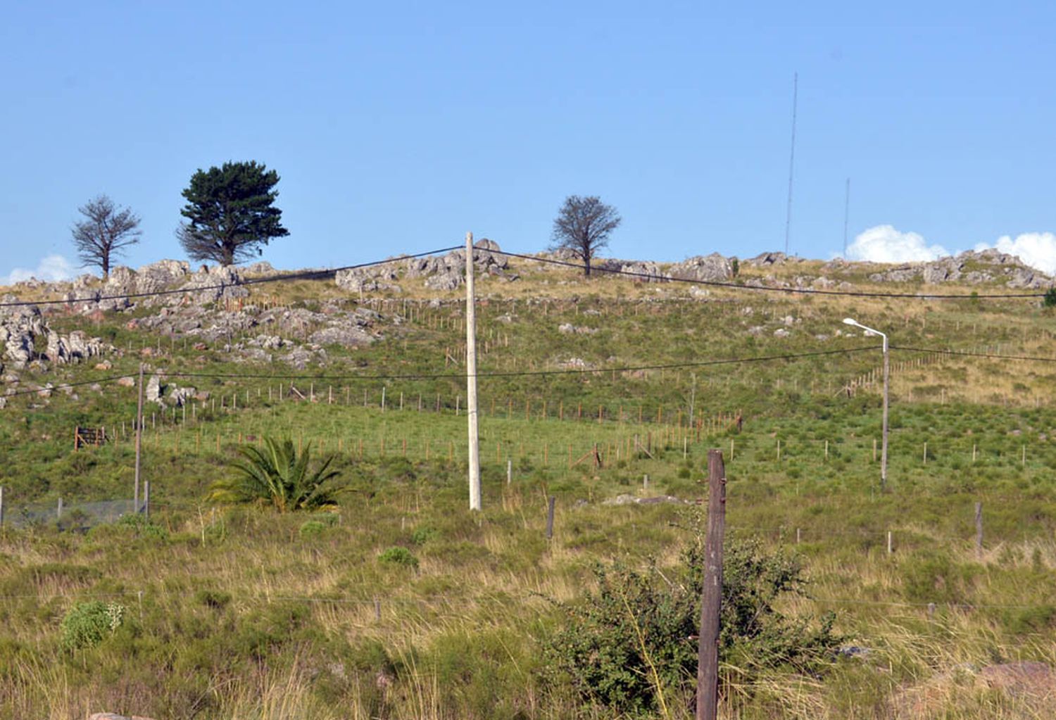 Dueños de lotes sujetos a expropiación reclaman que el Municipio no les cobre las tasas