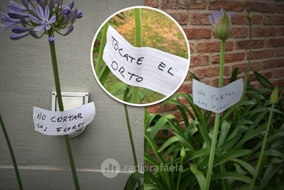 “Tocate el ort*”: se enojó un vecino y llenó de carteles el jardín de su casa