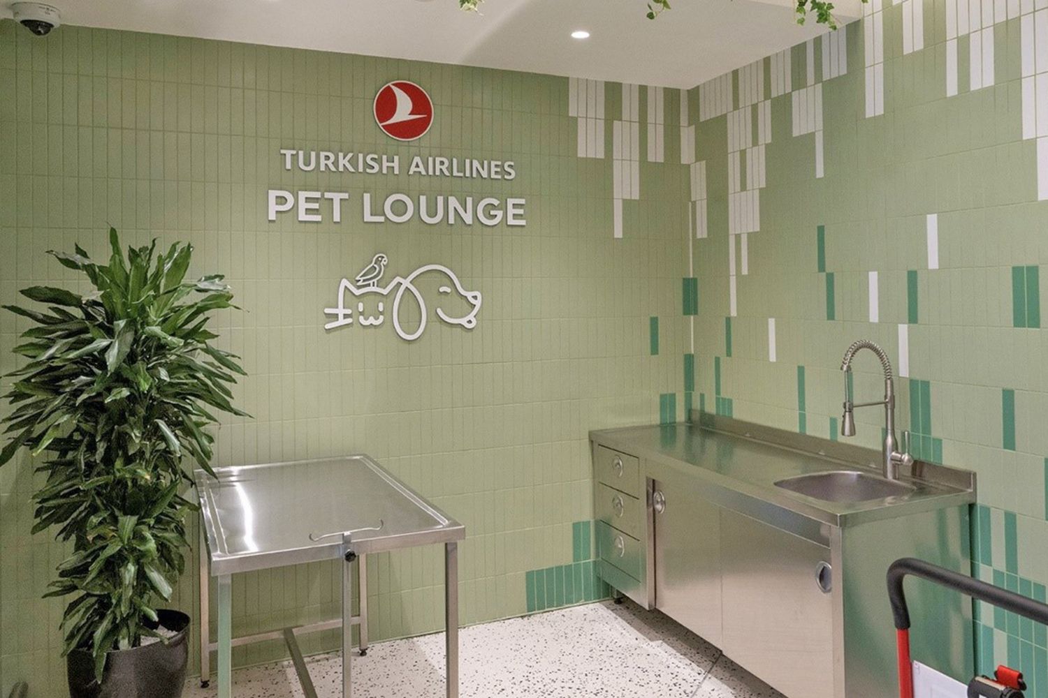 Turkish Airlines abre la primera sala VIP del mundo para mascotas