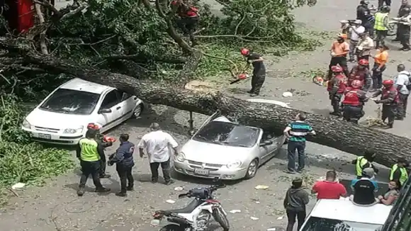 ¡VARIOS HERIDOS! Árbol caído en centro de Caracas causa estragos
