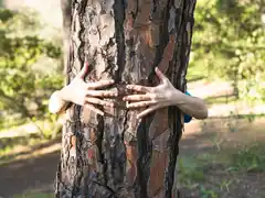 Ecopsicología, el modo de poner en práctica la vuelta a lo silvestre y la reconexión con la naturaleza