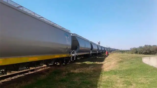 Sobre rieles: Trasladan en tren 1.200 toneladas de trigo entrerriano