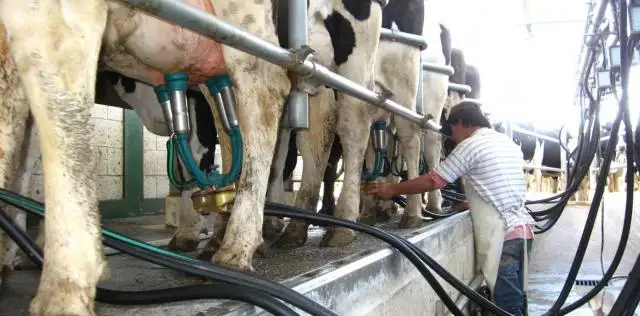 El agro demanda mano de obra, pero más calificada
