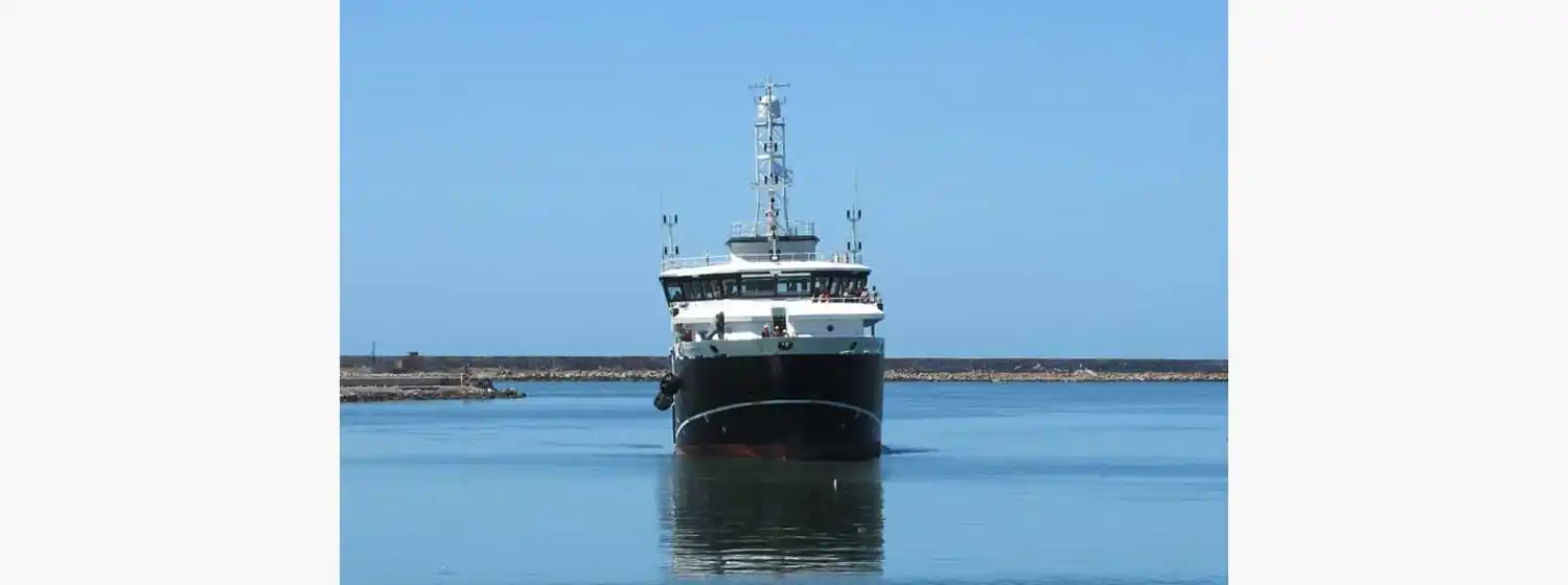 Finalizó la campaña de evaluación del calamar