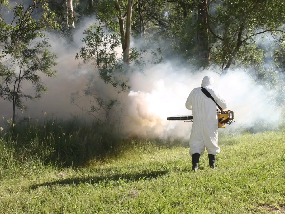 Fumigaciones en los parajes  El Fuertecito y La Curva  