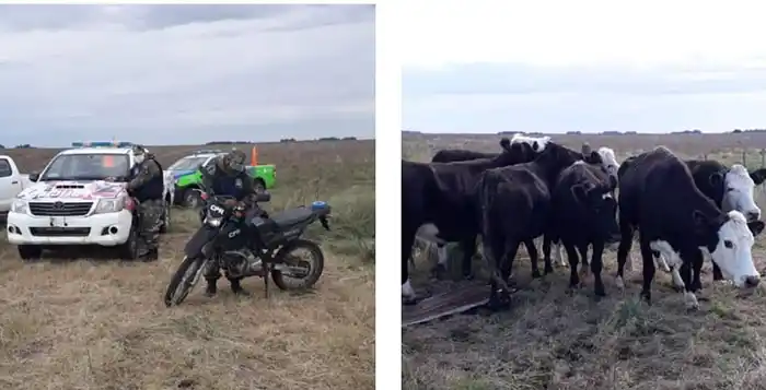 Allanamiento por usurpación de un campo