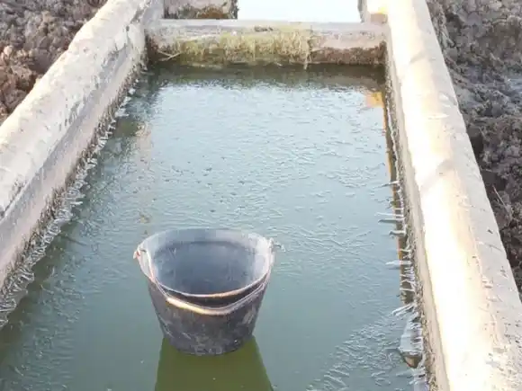 Postales de la helada vista desde las lentes del Grupo Lluvia