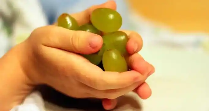 Comer uvas es la tercera causa de asfixia en menores de cinco años