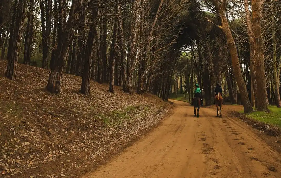 Cuarentena en Pinamar: Municipio quiere “prueba piloto” para el ingreso turístico del 12 de octubre