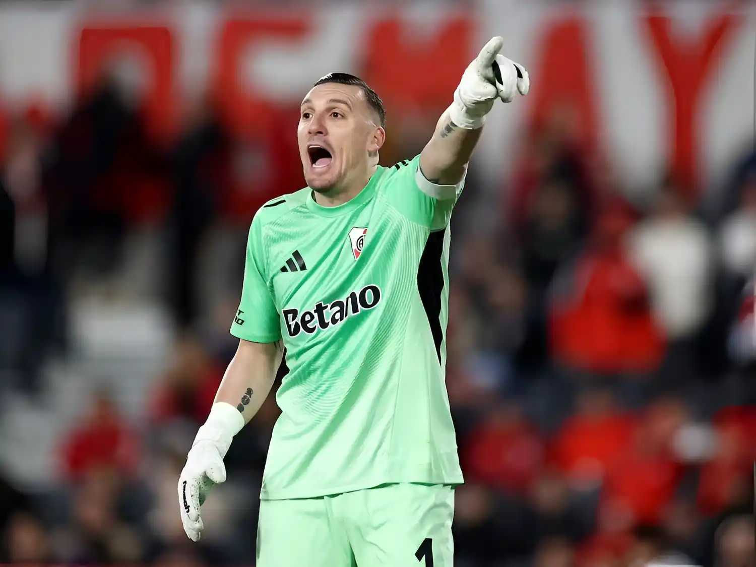 River Franco Armani