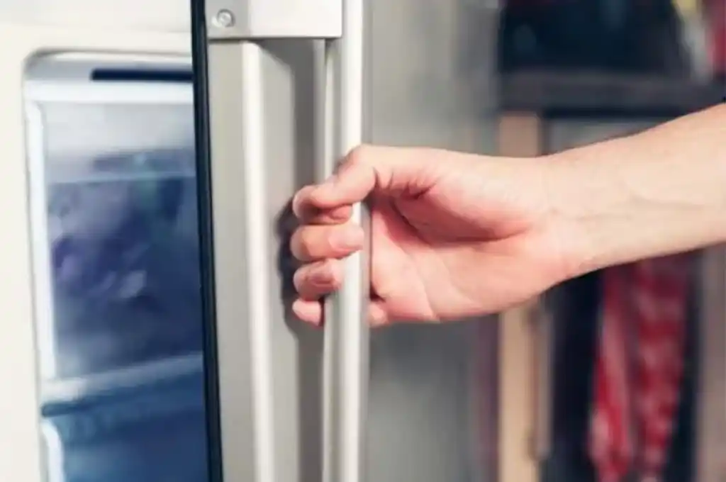 Encontró el cuerpo desmembrado de una mujer en la heladera de su novio