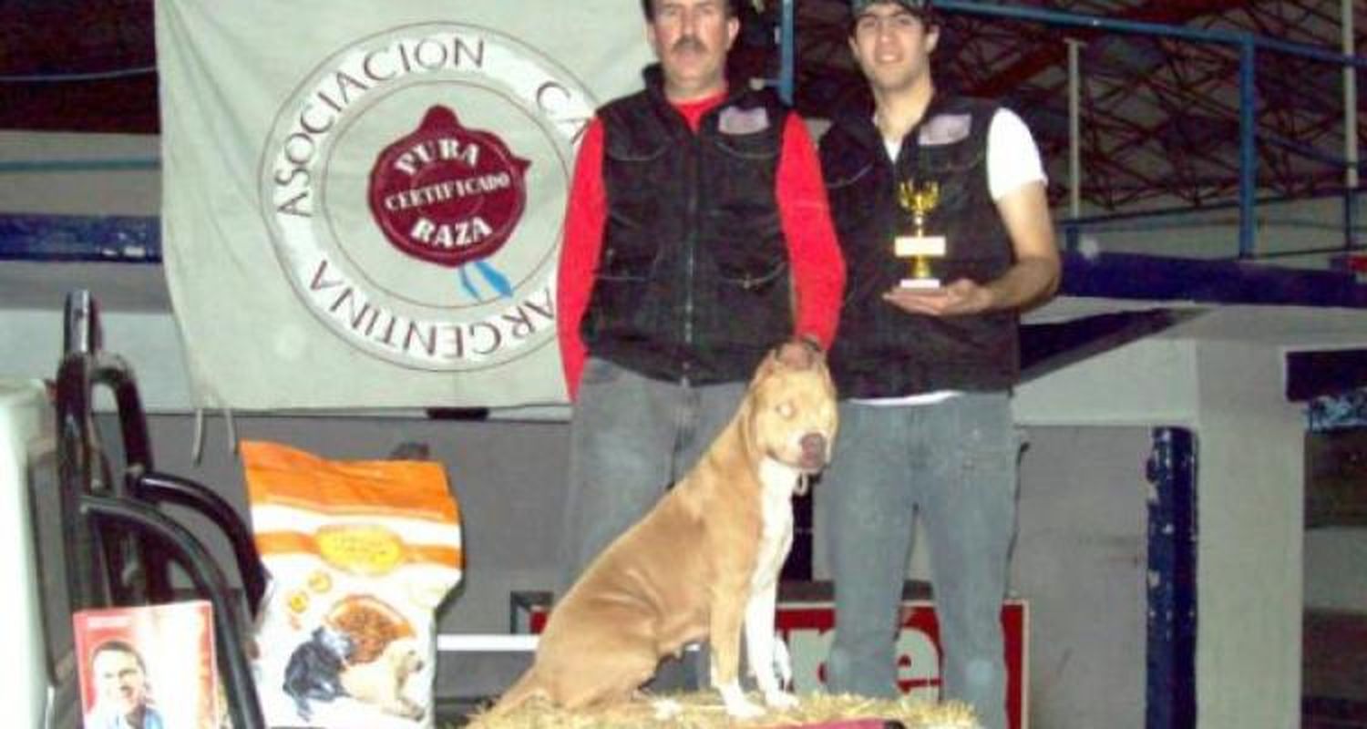 “No existe el perro asesino, existe el dueño responsable”