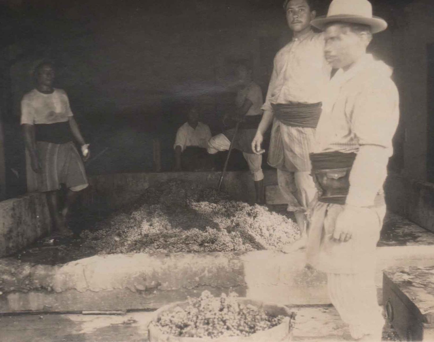 Los primeros viñedos de Concordia