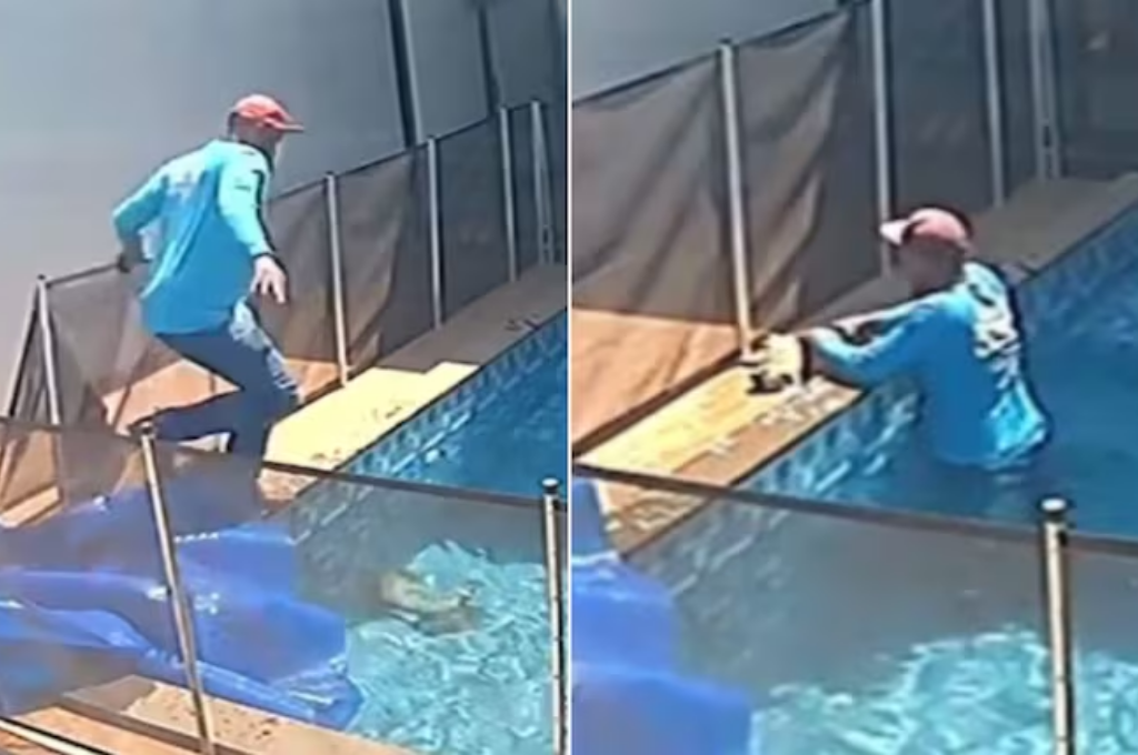 El trabajador encontró a un perro sumergido en el fondo de la pileta. (Foto: Gentilezas)