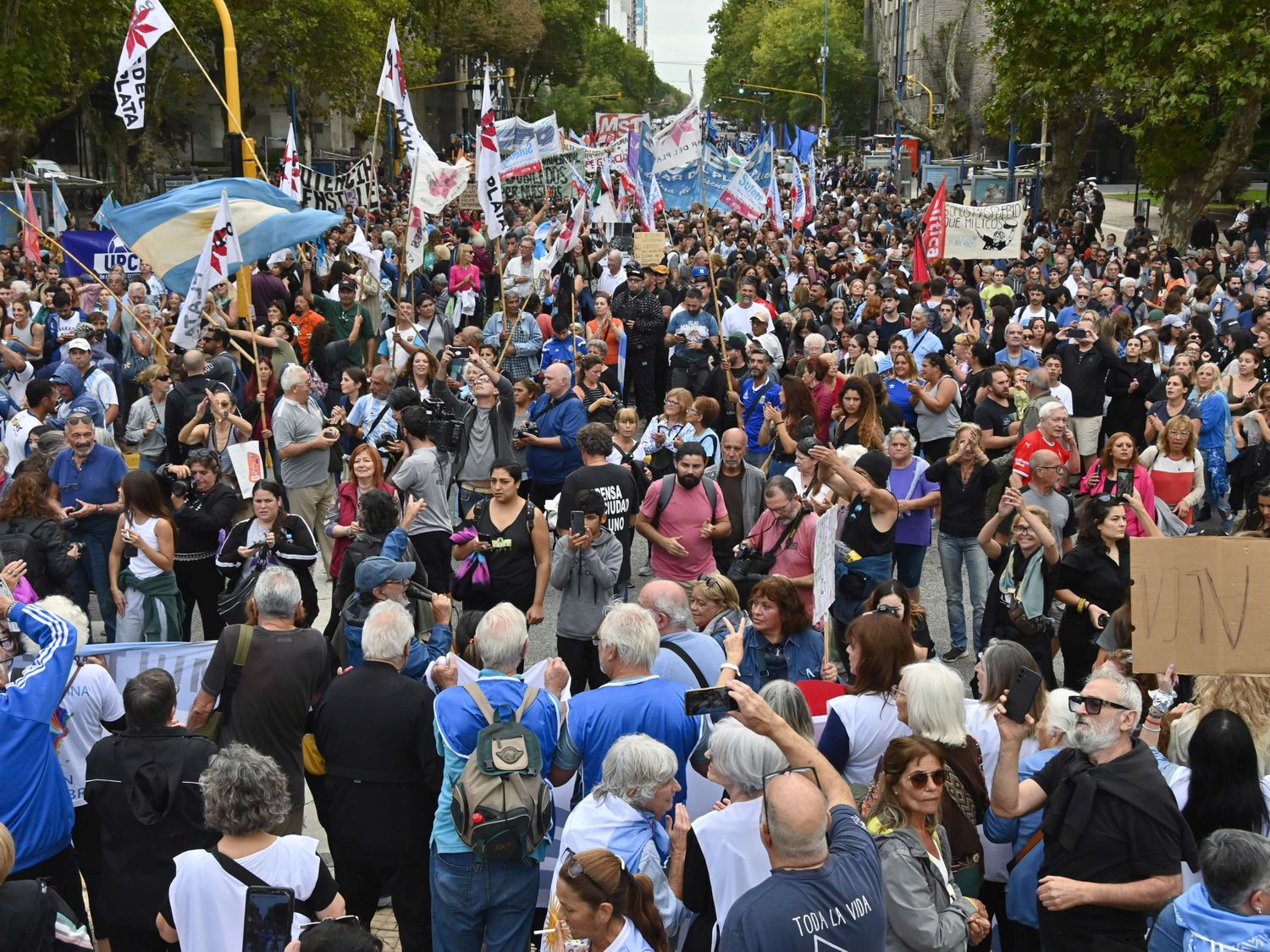 Jubilados y militantes opositores marcharon en calma al Congreso