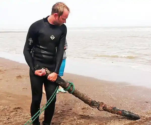 Siguen los hallazgos de restos marinos en San Cayetano