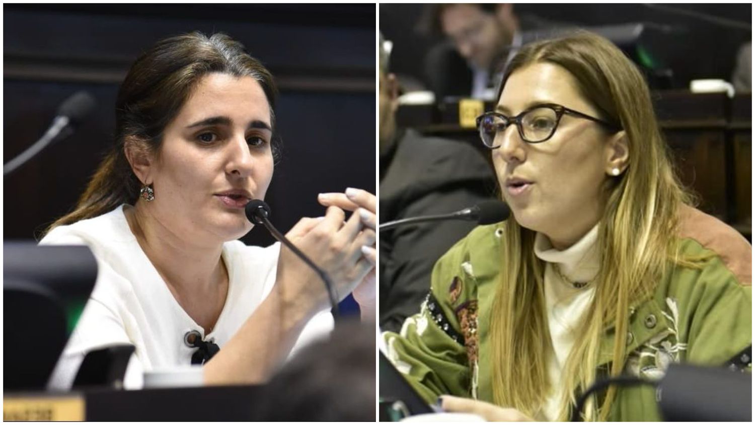 Maricel Etchecoin y Fernanda Bevilacqua impulsan la iniciativa.