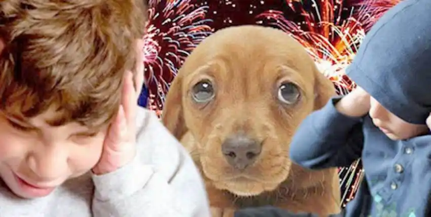 Remarcaron la importancia de no 
usar pirotecnia para cuidar la salud