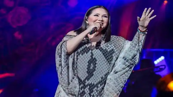 “No volveré hasta que esté fuera”: Ana Gabriel SORPRENDIDA por masiva asistencia de venezolanos a su concierto en Argentina