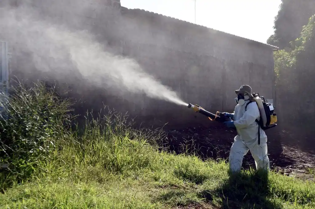 Confirmaron que el dengue ya circula en 15 de las provincias