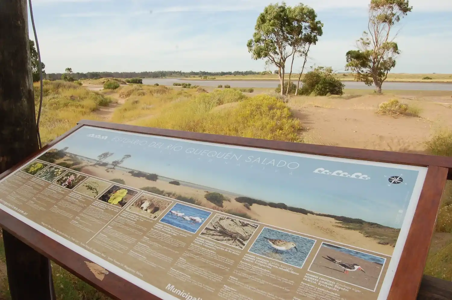 El río Quequén Salado, desde su recorrido y hasta su encuentro con el mar, es un gran atractivo natural del destino turístico dorreguense