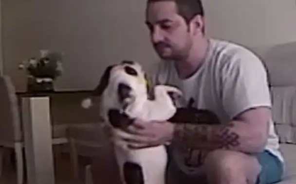 Video: Dejó a su novio por lo que le hacía a sus mascotas