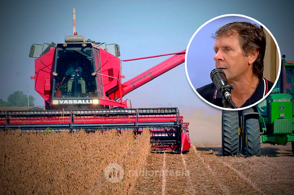 El impacto del clima en la campaña agrícola: “La situación es muy diferente a la del año pasado”