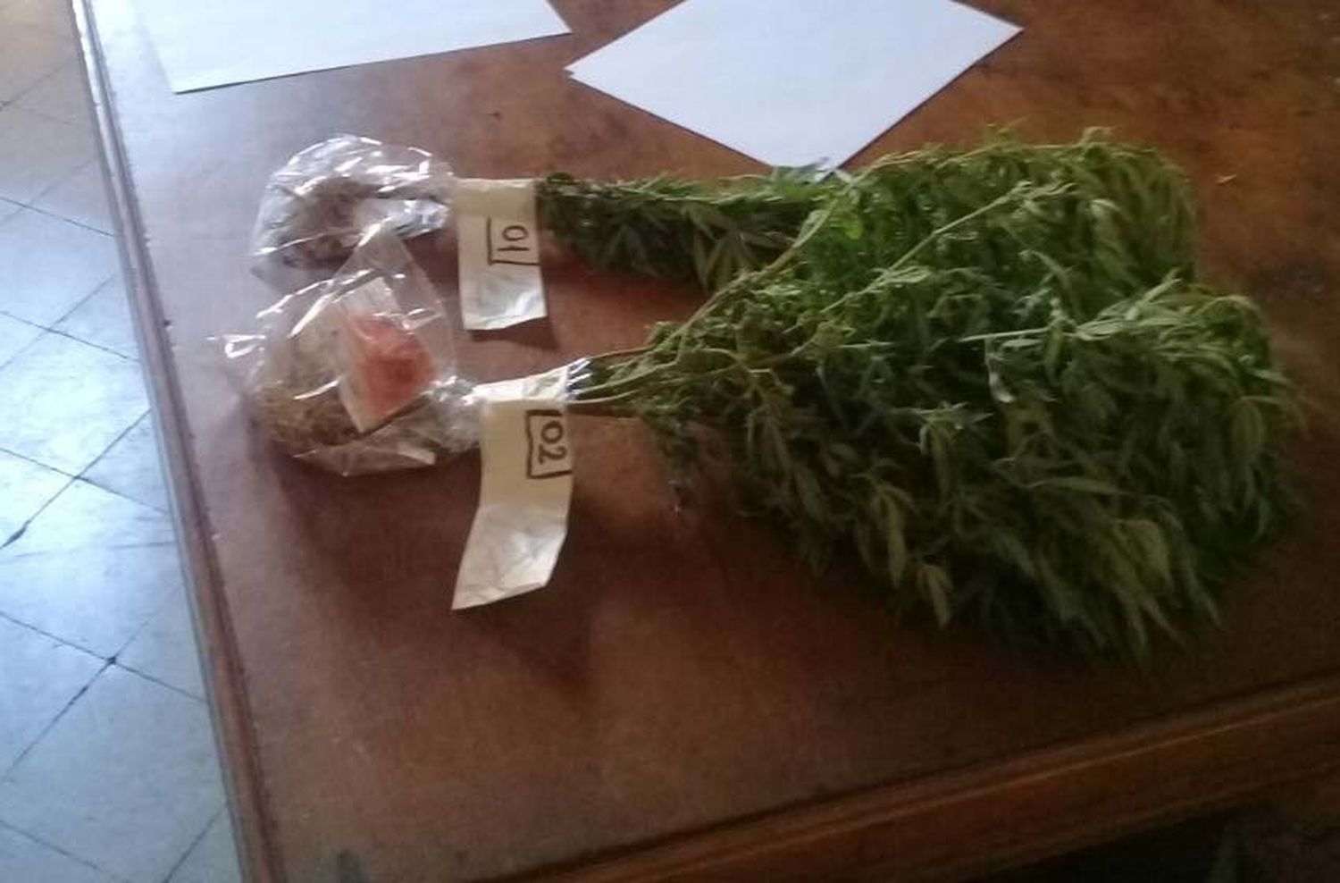 Amenazó a una familiar y fue presa con plantas de marihuana