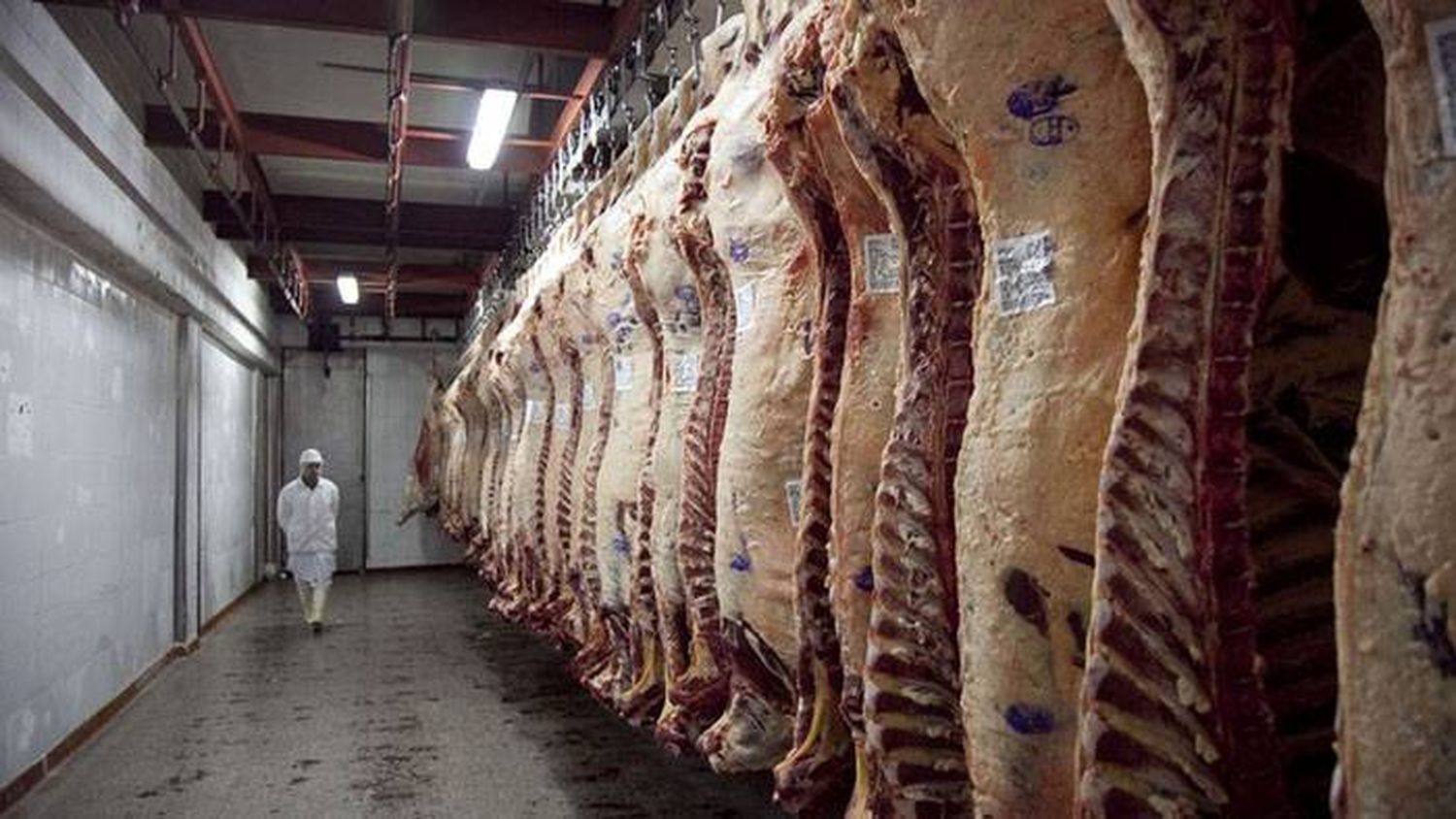 La guerra de la carne: la AFIP inició operativos en los 154 frigoríficos más grandes del país