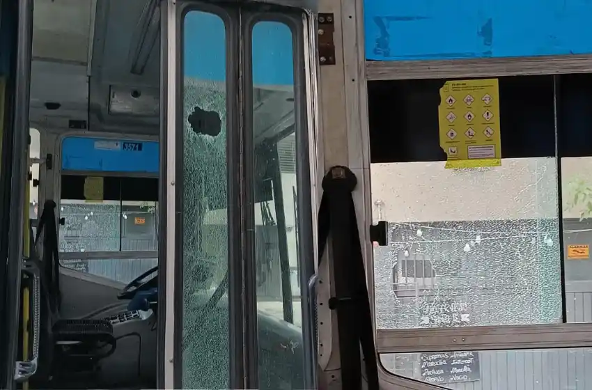 Un hombre atacó con un piedrazo un colectivo de la línea 101 en el centro