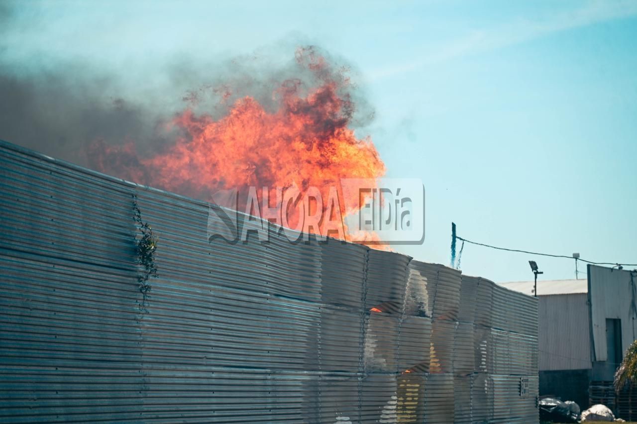 incendio pallets - 3