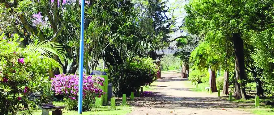 Exposición sobre la necesidad de que San Carlos vuelva a ser accesible a toda la población