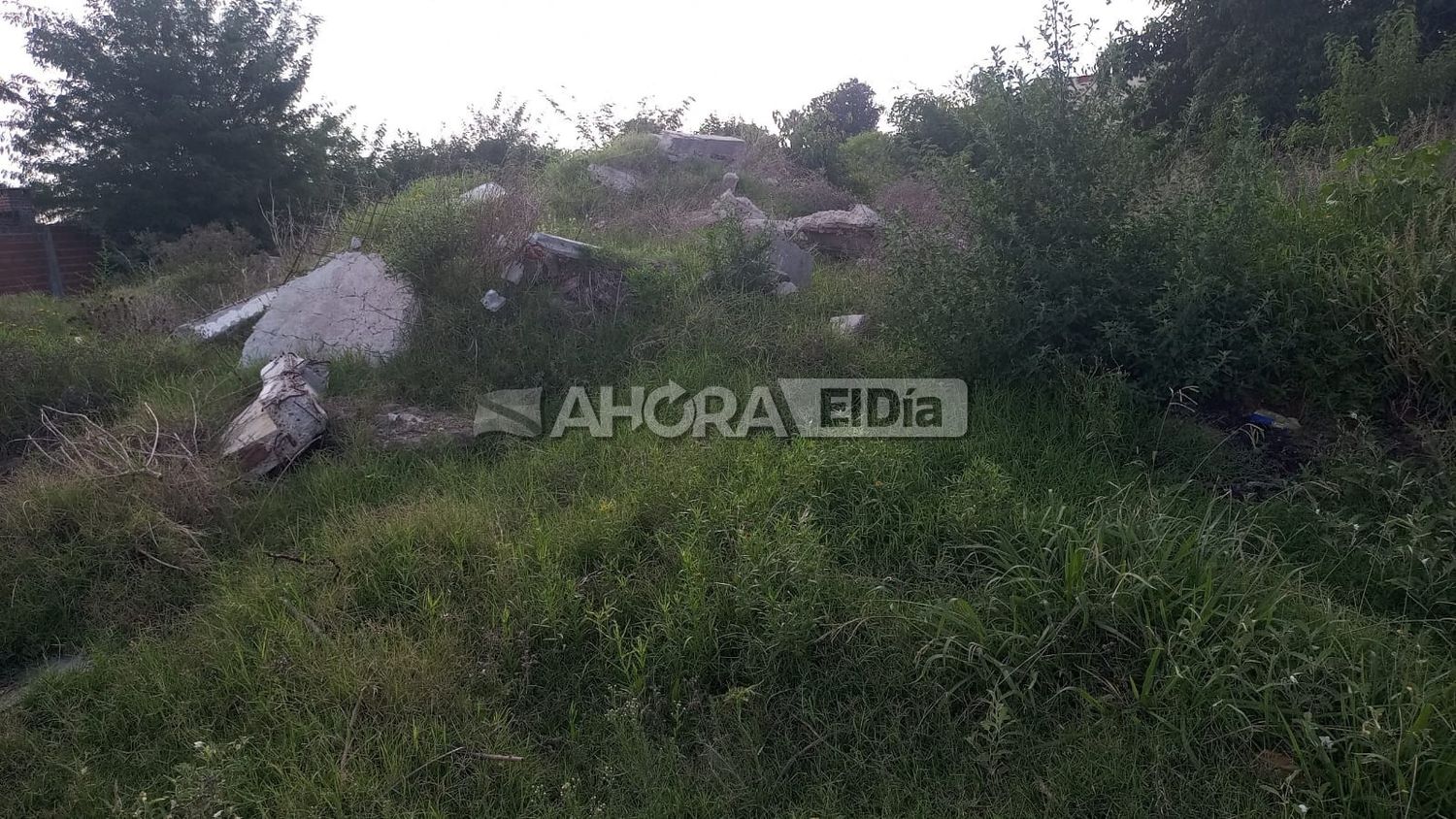 Vecinos del barrio La Milagrosa denuncian la existencia de terrenos abandonados: "Esto es tierra de nadie"