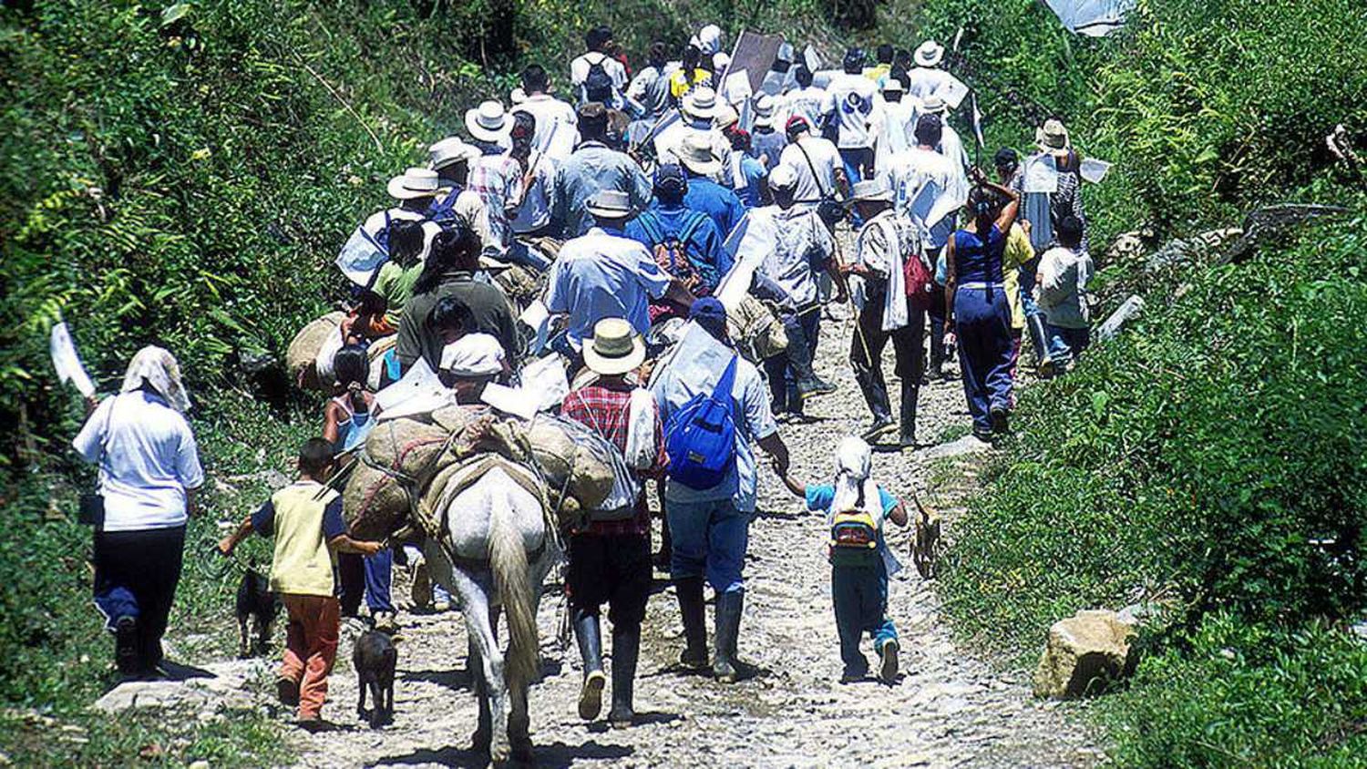 MÁS DE 300 DESPLAZADOS por combates entre las FARC, ELN y el Ejército