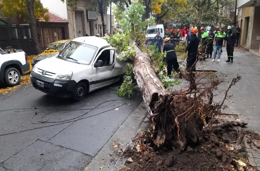 Se cayó un árbol en Suipacha y San Juan y destrozó un auto en el que viajaban dos personas