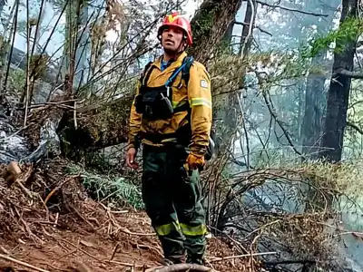Ya se quemaron casi cien hectáreas un por incendio forestal en Epuyén