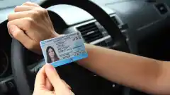Se extendió la autorización para circular con licencia digital y el certificado de trámite aprobado