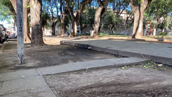 Reciclaje: “¿Y los contenedores de la plaza?”