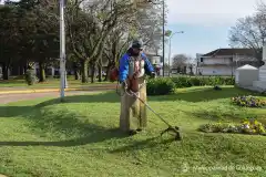 Arreglos y mejoras en espacios verdes