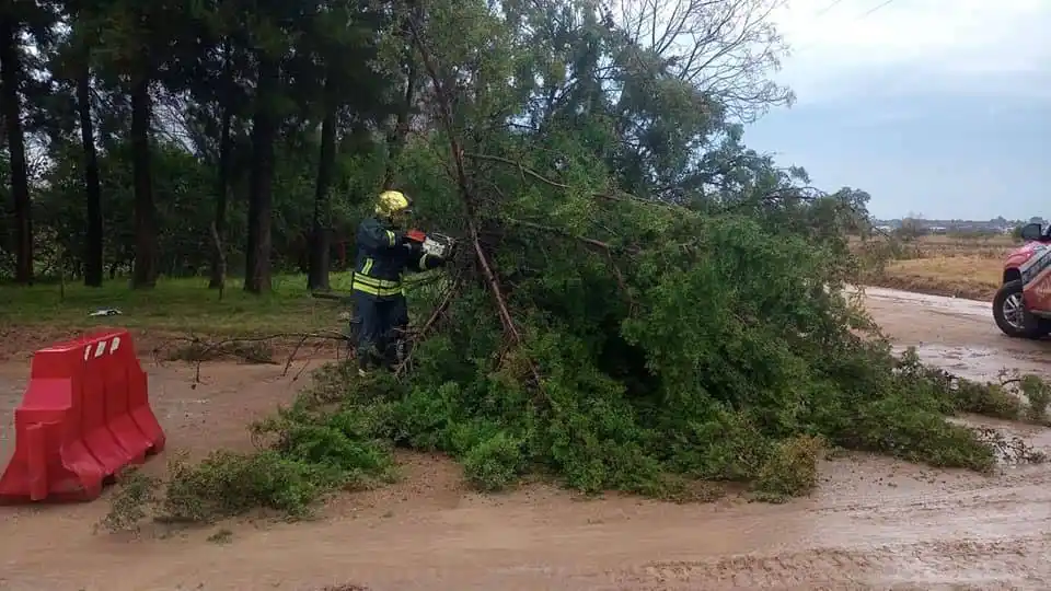 Tras el temporal decretaron estado de emergencia en Colón