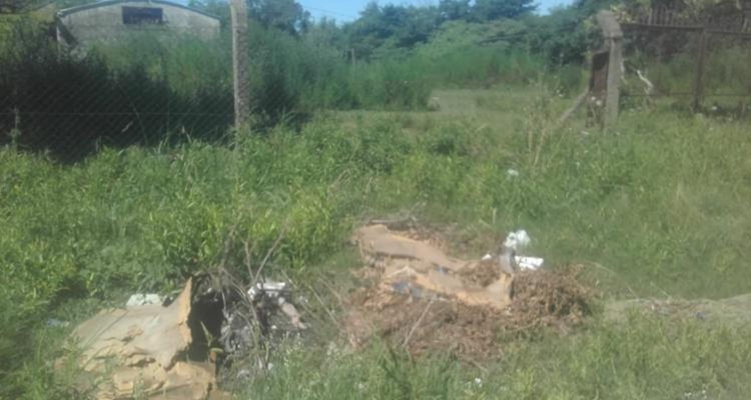 Hantavirus: La Municipalidad puede intervenir en terrenos baldíos para limpiarlos