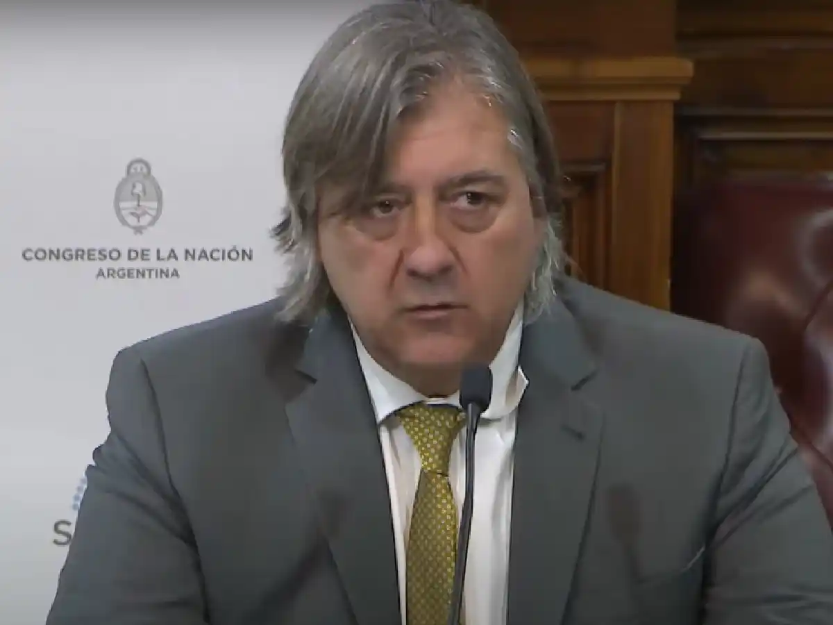 Juez federal: Montesi defendió su pliego evocando la lucha contra el narcotráfico    