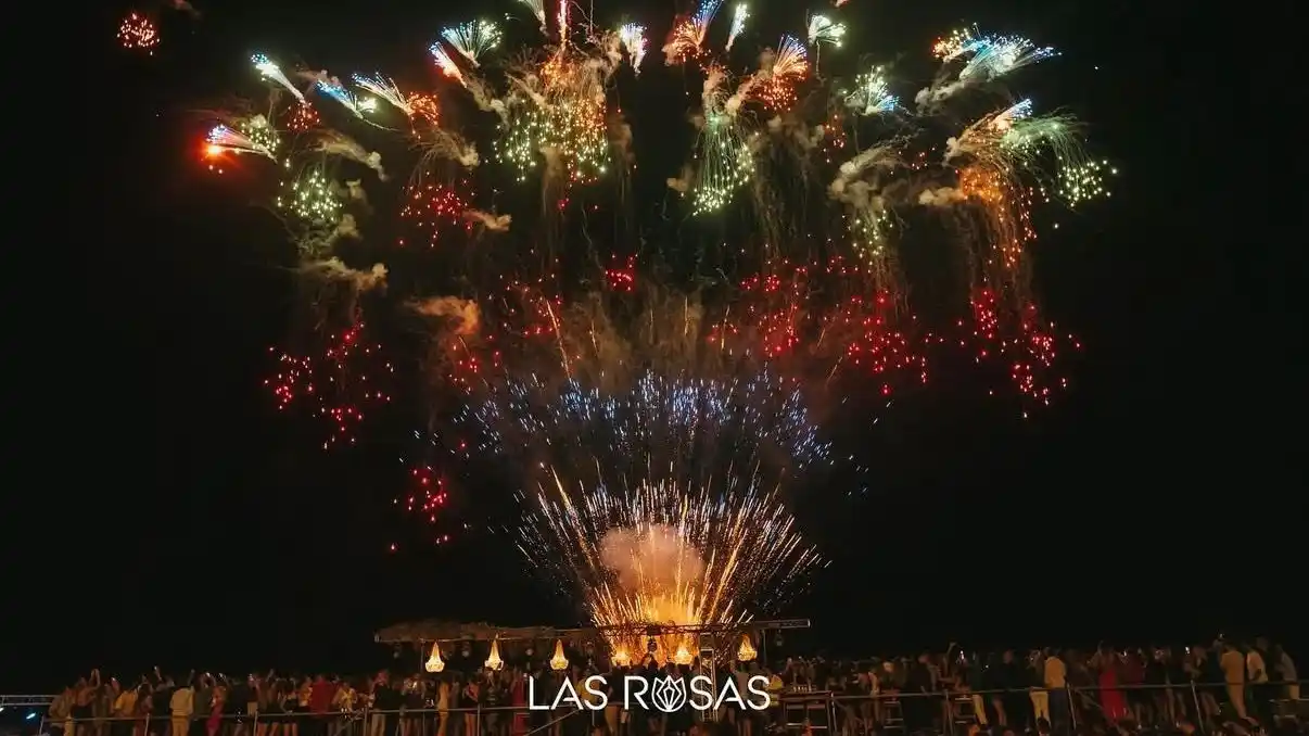 navidad en las rosas