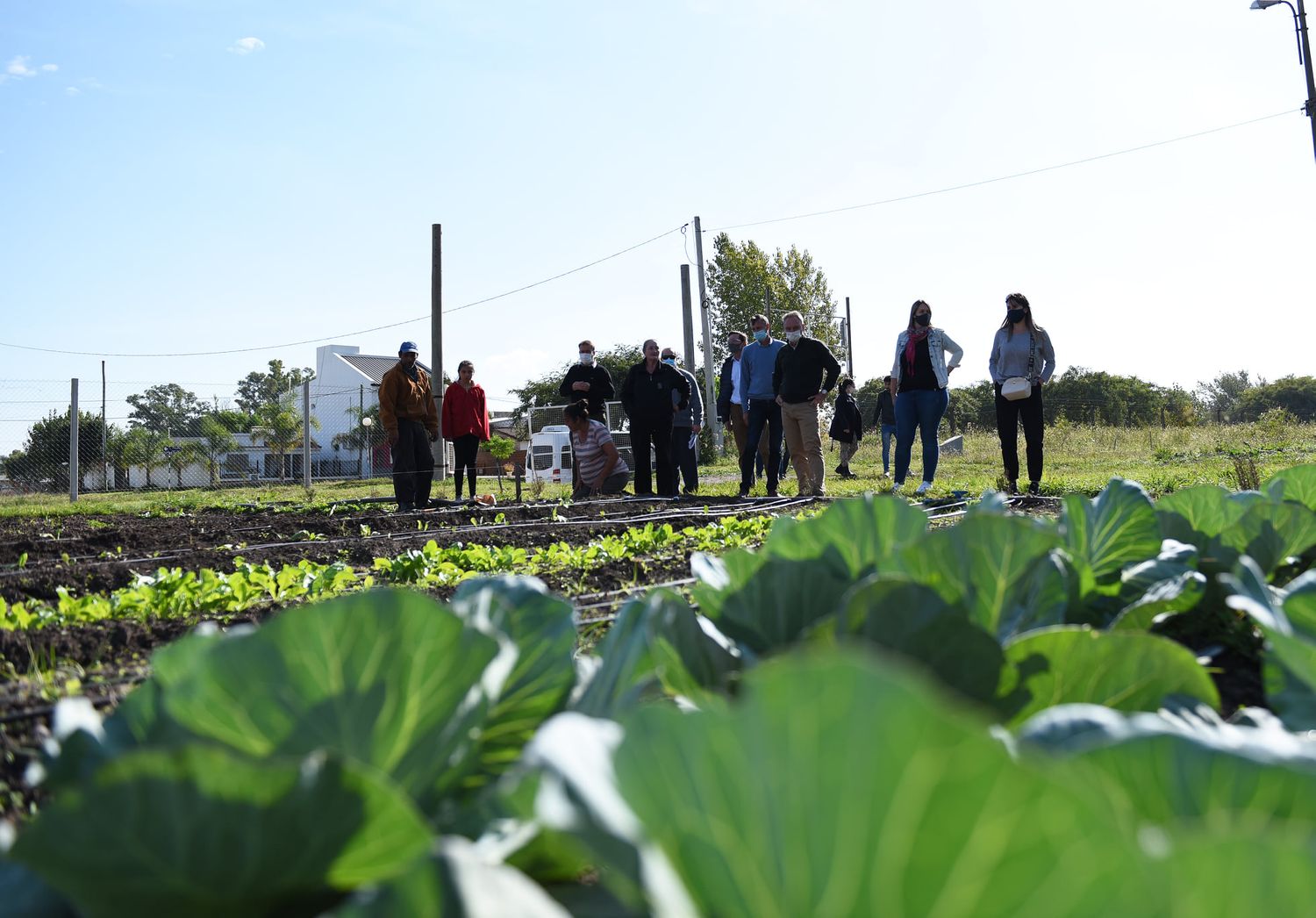 Obtiene financiación el proyecto para mejorar el proceso productivo agroecológico en huertas comunitarias de Crespo