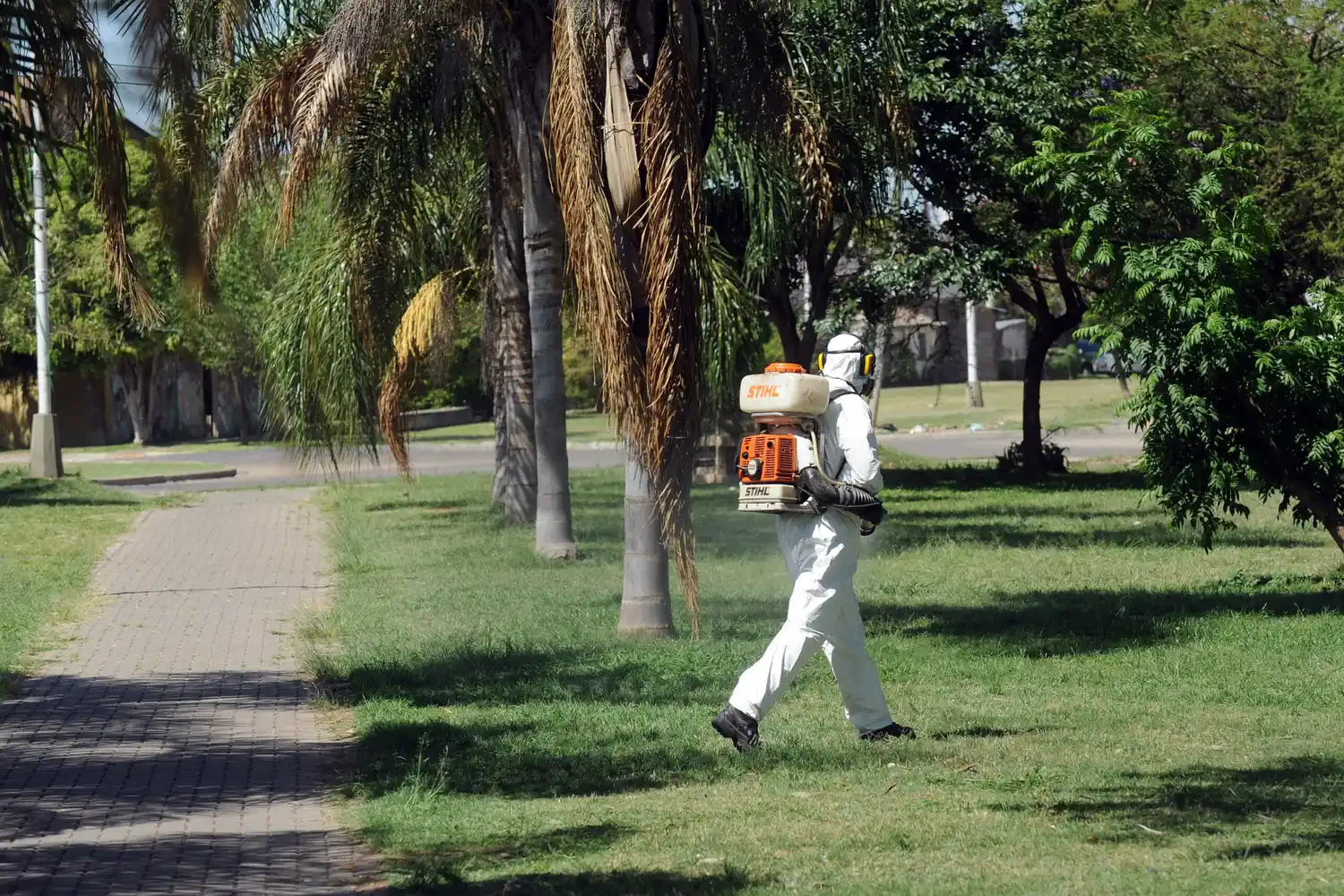 Trabajos de fumigación, iluminación y bacheo previstos para este lunes