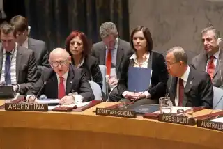 Timerman: “que los Estados se abstengan de enviar armas a zonas en conflicto"