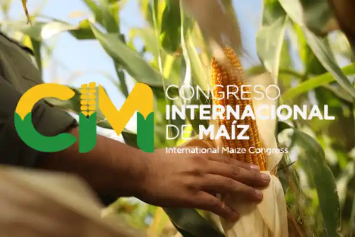 Rosario será sede del Congreso Internacional de Maíz con más de 130 oradores