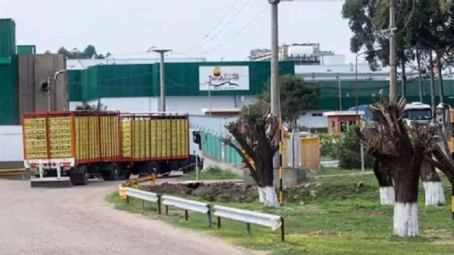 La crisis de Granja Tres Arroyos golpea a 1.000 familias en Concepción del Uruguay